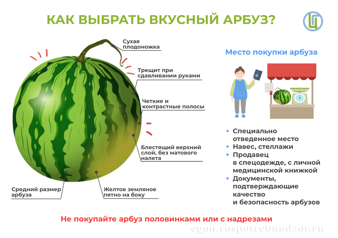Как выбрать вкусный арбуз